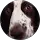 Carrie Deans profile picture
